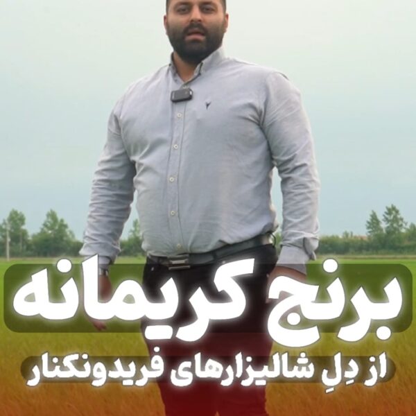 Screenshot_۲۰۲۴۰۵۳۱_۲۲۳۳۳۰_Gallery برنج کریمانه از دل شالیزارهای فریدونکنار